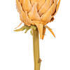 Vickerman 25" Protea Stem 2/Bag - view 3 of 4
