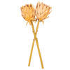 Vickerman 25" Protea Stem 2/Bag - view 4 of 4