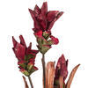 Vickerman 28.5" Siam Tulip 2/Bag - view 2 of 4