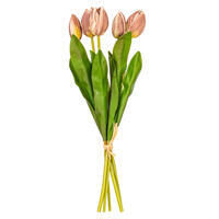 Tulip Bundles