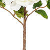 Vickerman 16.5“ Peony Stem - view 3 of 4