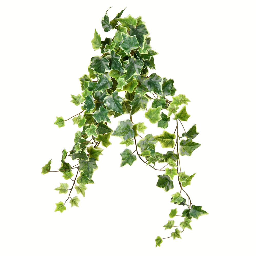 Vickerman Artificial Varigated Ivy Hanging Bush