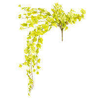 Light Green Ivy