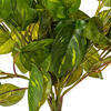 Vickerman Artificial Pothos Hanging Bush - view 3 of 3