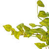Vickerman Artificial Pothos Hanging Bush - view 2 of 3