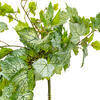 Vickerman Artificial Grape Leaf Ivy Hanging Bush - view 3 of 3