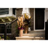 Vickerman 36"-40" Plume Reed Bundle, Preserved - view 2 of 5