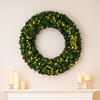 Vickerman Grand Teton Artificial Christmas Wreath - view 2 of 7