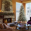 Vickerman Frosted Eastern Frasier Fir Artificial Christmas Tree - view 2 of 3