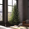 Vickerman Eagle Frasier Fir Artificial Christmas Tree with Stand - view 2 of 7