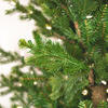 Vickerman Eagle Frasier Fir Artificial Christmas Tree with Stand - view 3 of 7