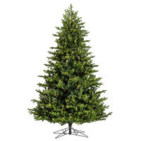 Full Trees