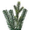 Vickerman Welch Fraser Fir Garlands - view 2 of 4