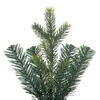 Vickerman Welch Fraser Fir Artificial Wreath - view 2 of 6