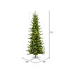 Vickerman Moutauk Pencil Pine Artificial Christmas Tree - view 6 of 8