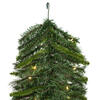 Vickerman Bangor Mixed Pine Artificial Christmas Garland - view 5 of 7