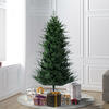 Vickerman North Shore Fraser Fir Artificial Christmas Tree - view 2 of 5
