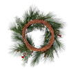 Vickerman Frosted Red Wreaths - view 3 of 6