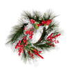 Vickerman Frosted Red Wreaths - view 2 of 6