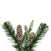 Vickerman Artificial Frosted Berry Mixed Pinecone Collection - view 2 of 7