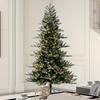 Vickerman Artificial Frosted Danbury Spruce Christmas Tree - view 2 of 7