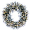 Vickerman Flocked Jackson Pine Artificial Wreath - view 1 of 5