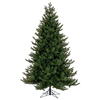 Vickerman Washington Fraser Fir Artificial Christmas Tree - view 1 of 3