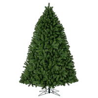 Full Trees