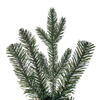 Vickerman Colorado Fir Artificial  Garland - view 2 of 4