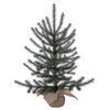 Vickerman Tabiona Pine Artificial Christmas Tree - view 1 of 3