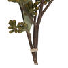 Vickerman Natural Botanicals 15-17" x 8" Amber Fruit Foliage - view 4 of 4