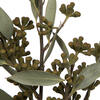 Vickerman Natural Botanicals 15-17" x 8" Amber Fruit Foliage - view 3 of 4