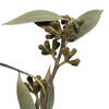 Vickerman Natural Botanicals 15-17" x 8" Amber Fruit Foliage - view 2 of 4