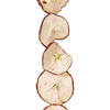 10' Natural Dried Apple Garland - view 2 of 3