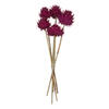 Vickerman Natural Dried Artichoke Head attached to a Reed Stem, Dried - view 1 of 5