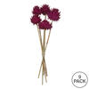 Vickerman Natural Dried Artichoke Head attached to a Reed Stem, Dried - view 5 of 5