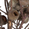 Bellgum Branch - view 4 of 6