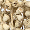 Vickerman Natural Botanicals 11" x 2-4" Conical Gum Branch, 20 stems per unit - view 4 of 6