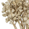 Vickerman Natural Botanicals 11" x 2-4" Conical Gum Branch, 20 stems per unit - view 3 of 6