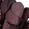 Vickerman Natural Botanicals 18-20" x 8" Eucalyptus Populus, 100 grams per unit - view 2 of 5
