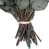 Vickerman Natural Botanicals 18-20" x 9" Eucalyptus Spiral, 100 grams per unit - view 3 of 4
