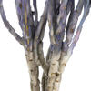 Vickerman 13-14" Natural Everlasting Flowers, Dried - view 4 of 4