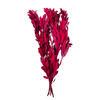 Vickerman 20-24" Natural Dried Mealy Banksia Foliage Bunch, 4.4 oz.  - view 1 of 3