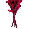 Vickerman 20-24" Natural Dried Mealy Banksia Foliage Bunch, 4.4 oz.  - view 3 of 3