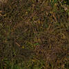 Vickerman Sheet Moss, 8oz Preserved - view 4 of 6