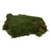 Vickerman Sheet Moss, 8oz Preserved - view 5 of 6