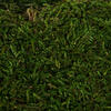 Vickerman Sheet Moss, 8oz Preserved - view 3 of 6