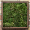 Vickerman Sheet Moss, 8oz Preserved - view 2 of 6