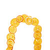 10' Natural Dried Orange Garland - view 3 of 3