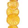 10' Natural Dried Orange Garland - view 2 of 3